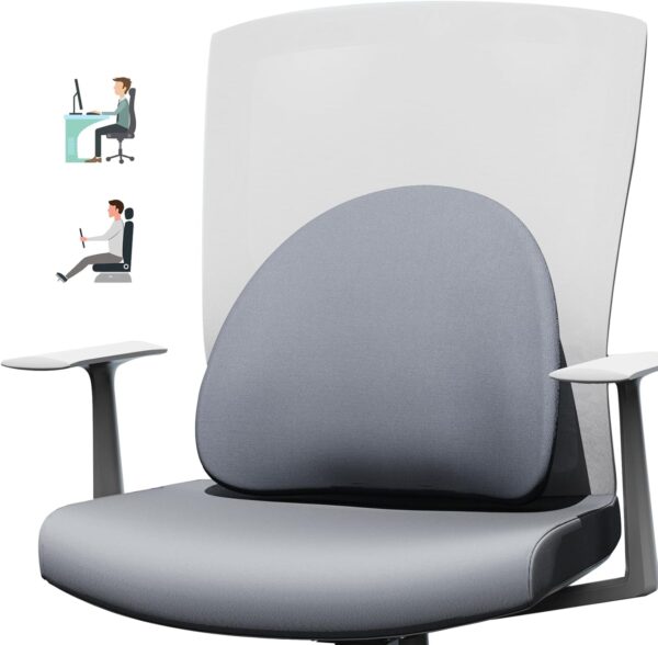 Lumbar Support Pillow for Office Chair - Ergonomic Memory Foam Back Support for Office Chair, Back Support Cushion for Back Pain, Ideal Back Support Pillow for Car, Gray